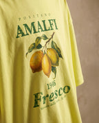 Amalfi Fresco women's oversized tee by Aurulu featuring a colorful print inspired by Positano and Amalfi coast scenery.